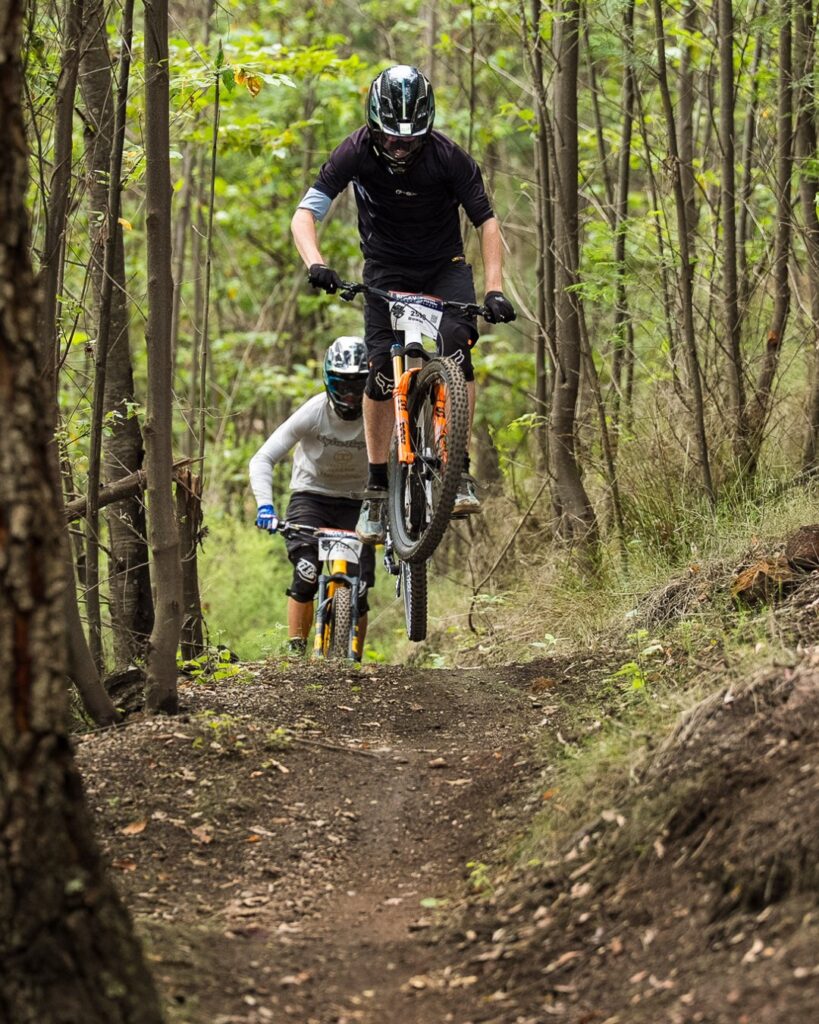 A mountain biker leaping off a wooden drop feature between two large eucalyptus tree trunks on a sunny bush trail.