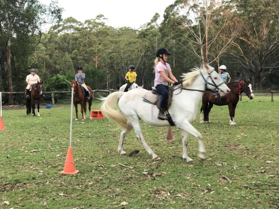 A young rider on a white horse navigates through orange traffic cones in a grassy paddock, while other riders wait their turn against a backdrop of eucalyptus trees.