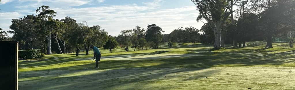 A golfer in a black shirt putts on the green at St Georges Basin Golf Club, with morning sun casting long shadows across the dew-covered grass and tall trees lining the perimeter.