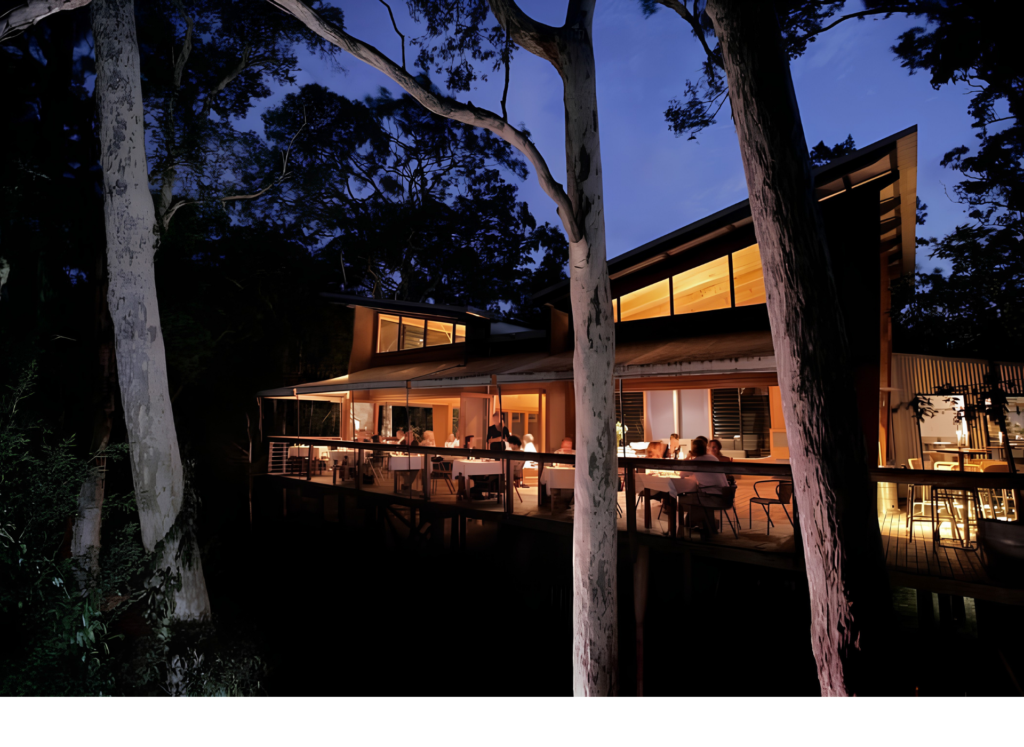 Exterior view of The Gunyah architectural timber structure built on high stilts among paperbark trees.
